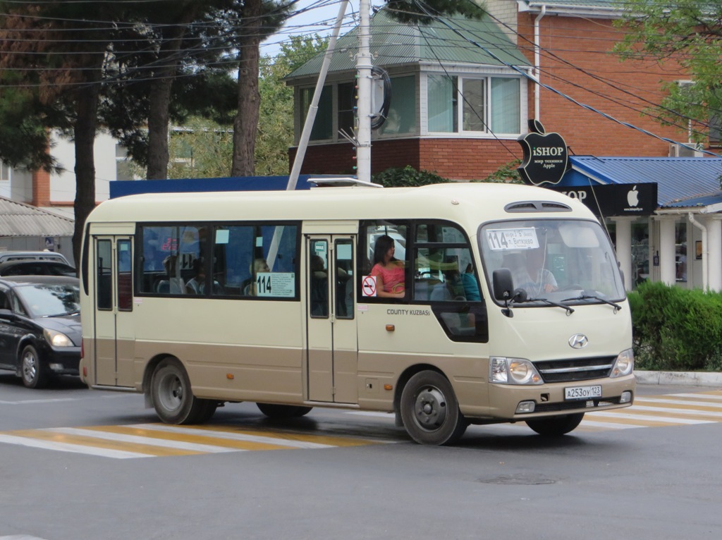 Краснодарский край, Hyundai County Kuzbass № А 253 ОУ 123