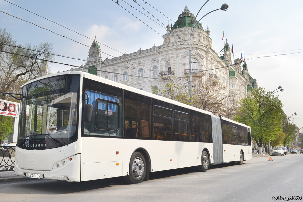 Волгоградская область — Новые автобусы "Volgabus"