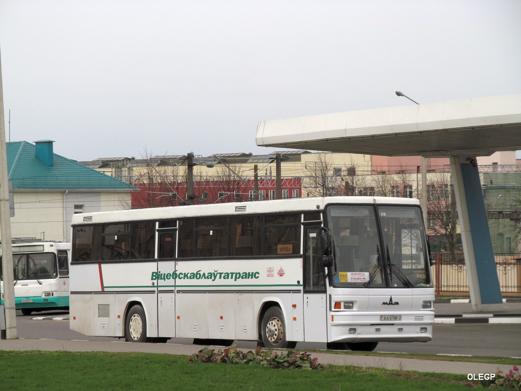 Vitebsk region, MAZ-152.062 Nr. 20559