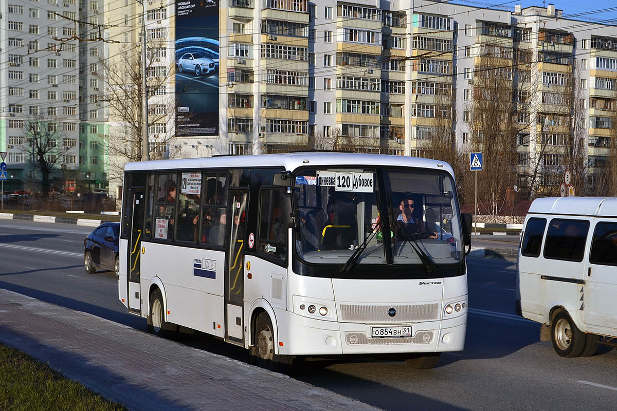 Белгородская область, ПАЗ-320412-04 "Вектор" № О 854 ВН 31