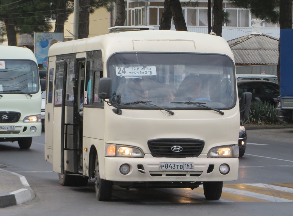 Краснодарский край, Hyundai County SWB C08 (РЗГА) № Р 843 ТВ 161