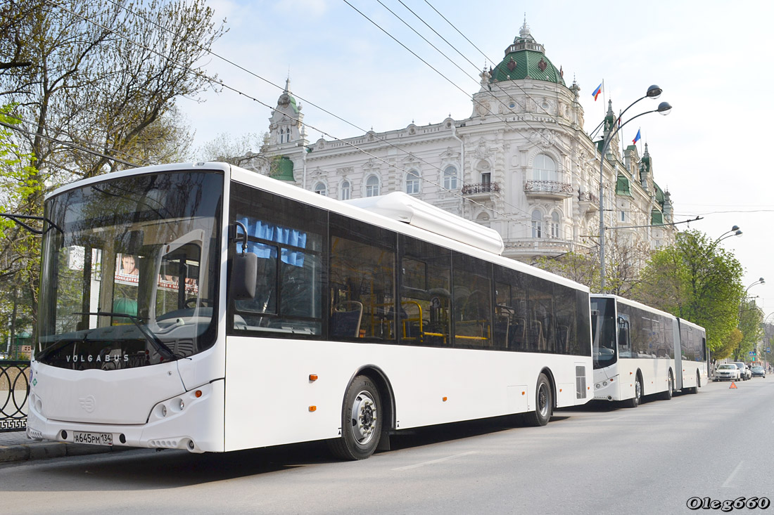 Волгоградская область — Новые автобусы "Volgabus"