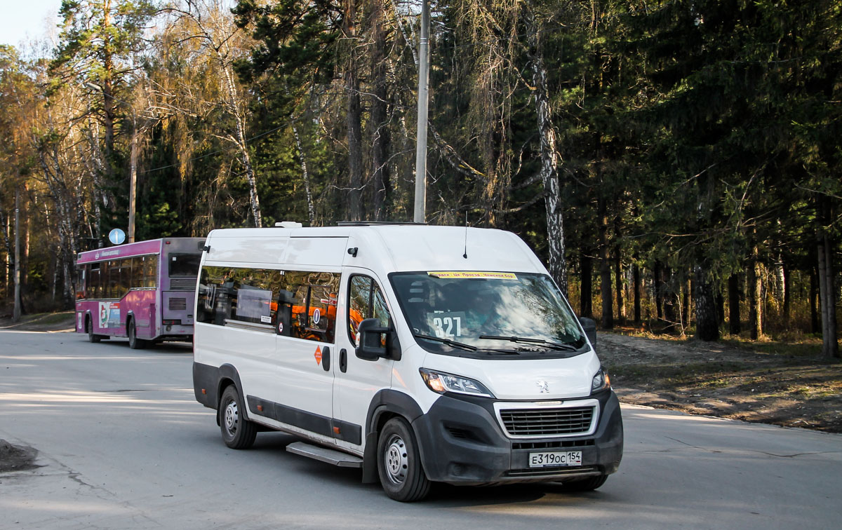 Новосибирская область, Автодом-22080* (Peugeot Boxer) № Е 319 ОС 154