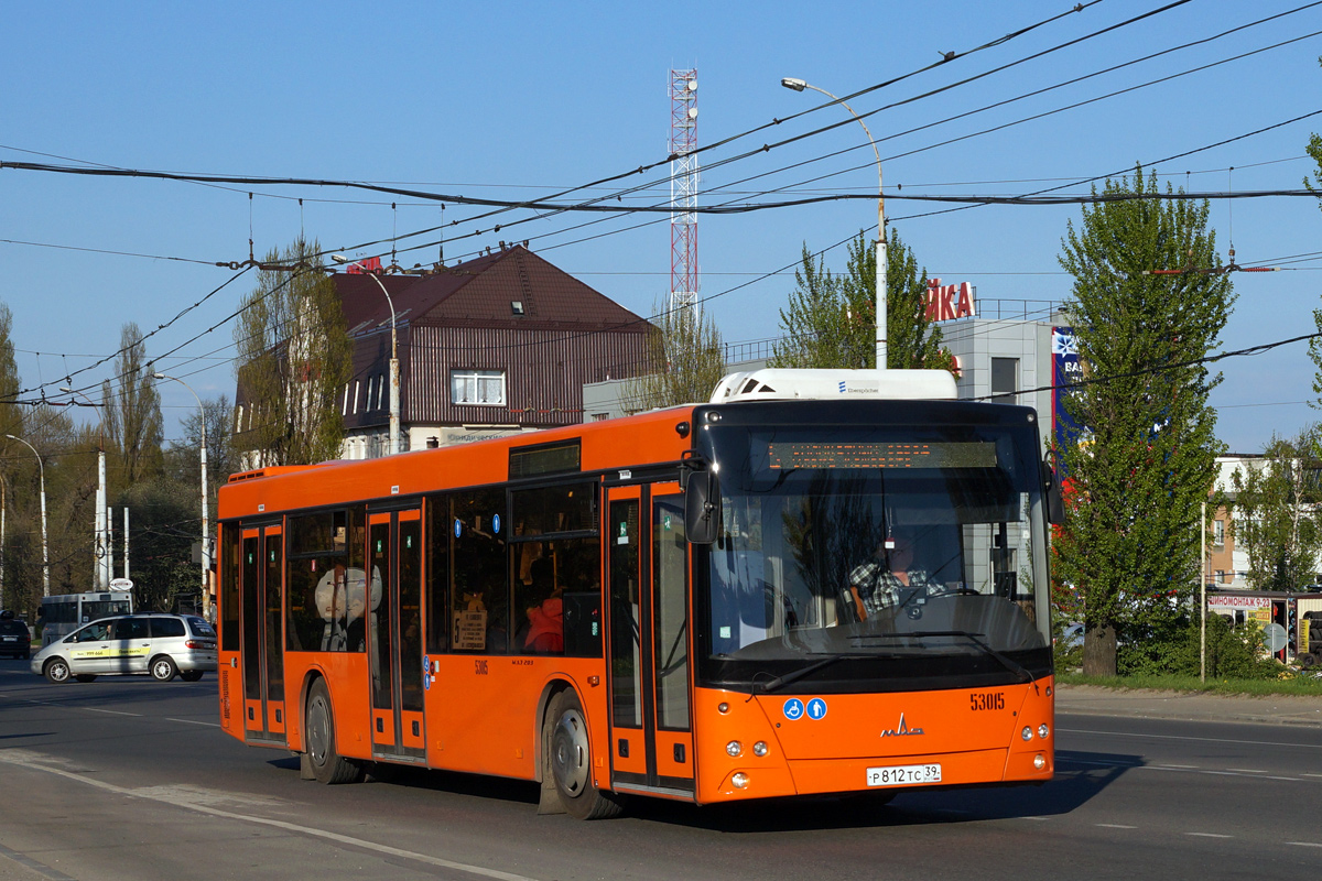 Калининградская область, МАЗ-203.085 № 53015