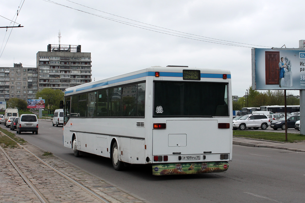 Калининградская область, Mercedes-Benz O405 № Р 109 РН 39