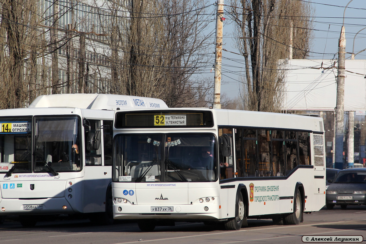 Воронежская область, МАЗ-103.469 № У 837 ХК 36