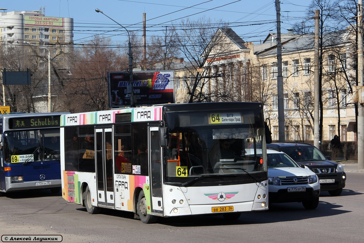 Варонежская вобласць, МАЗ-206.060 № ВВ 283 36