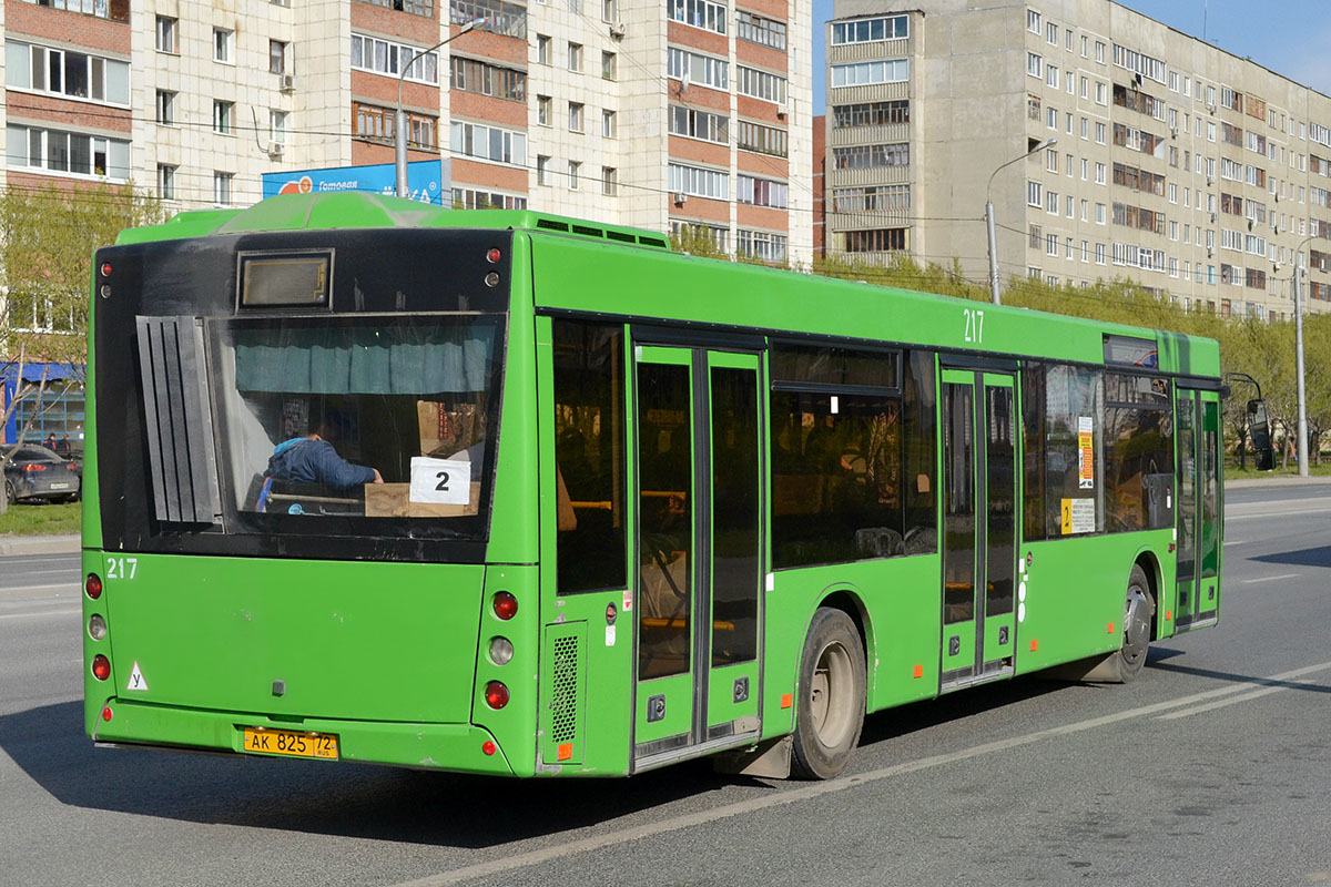 217 автобус нижний. МАЗ 203.065. МАЗ 203 Тюмень. МАЗ-203 автобус. МАЗ 203 автобусы Тюмень.