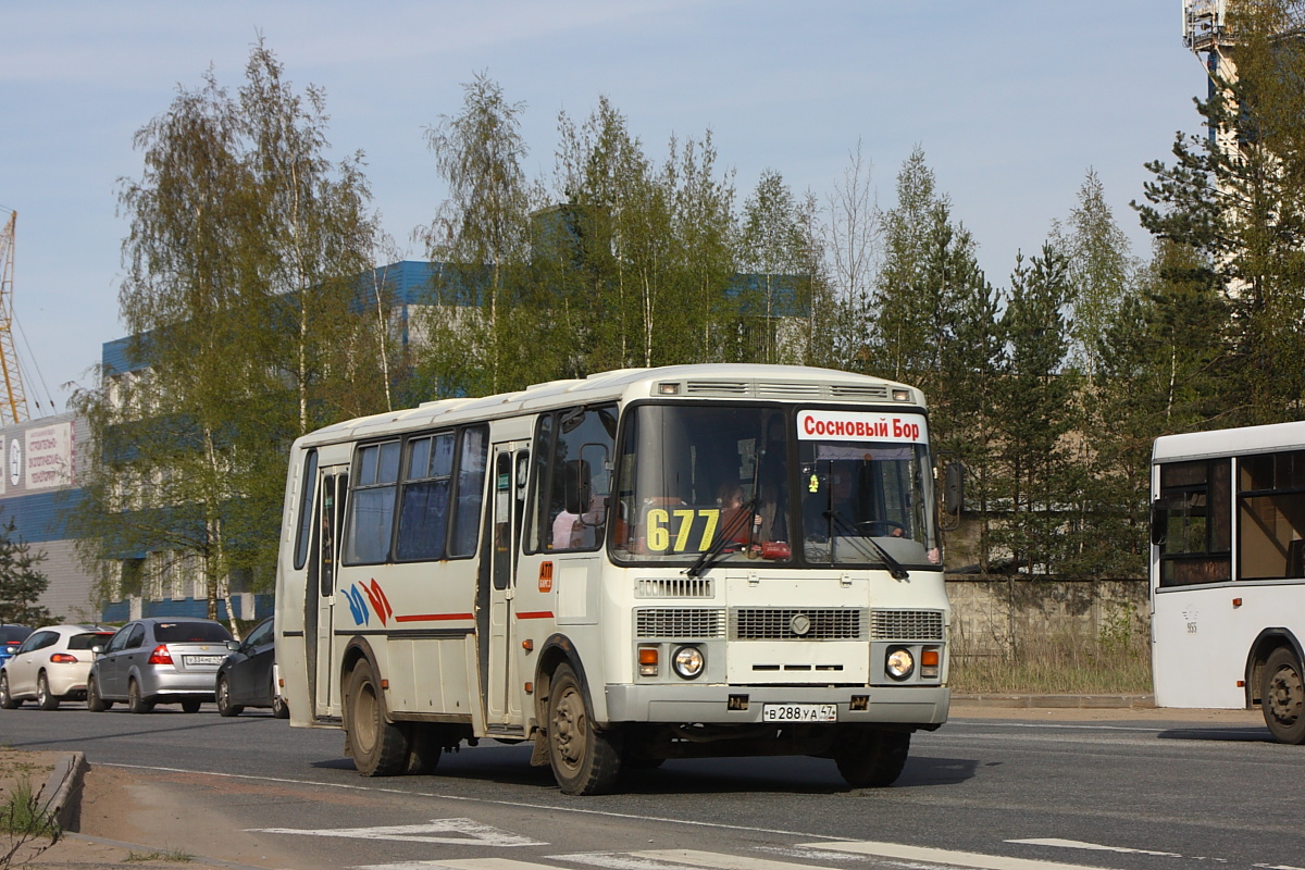 Ленинградская область, ПАЗ-4234-05 № В 288 УА 47