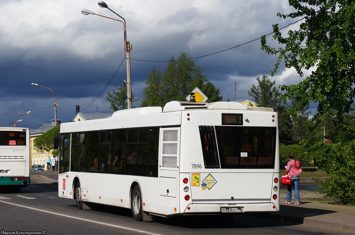 Санкт-Петербург, МАЗ-203.085 № 7896