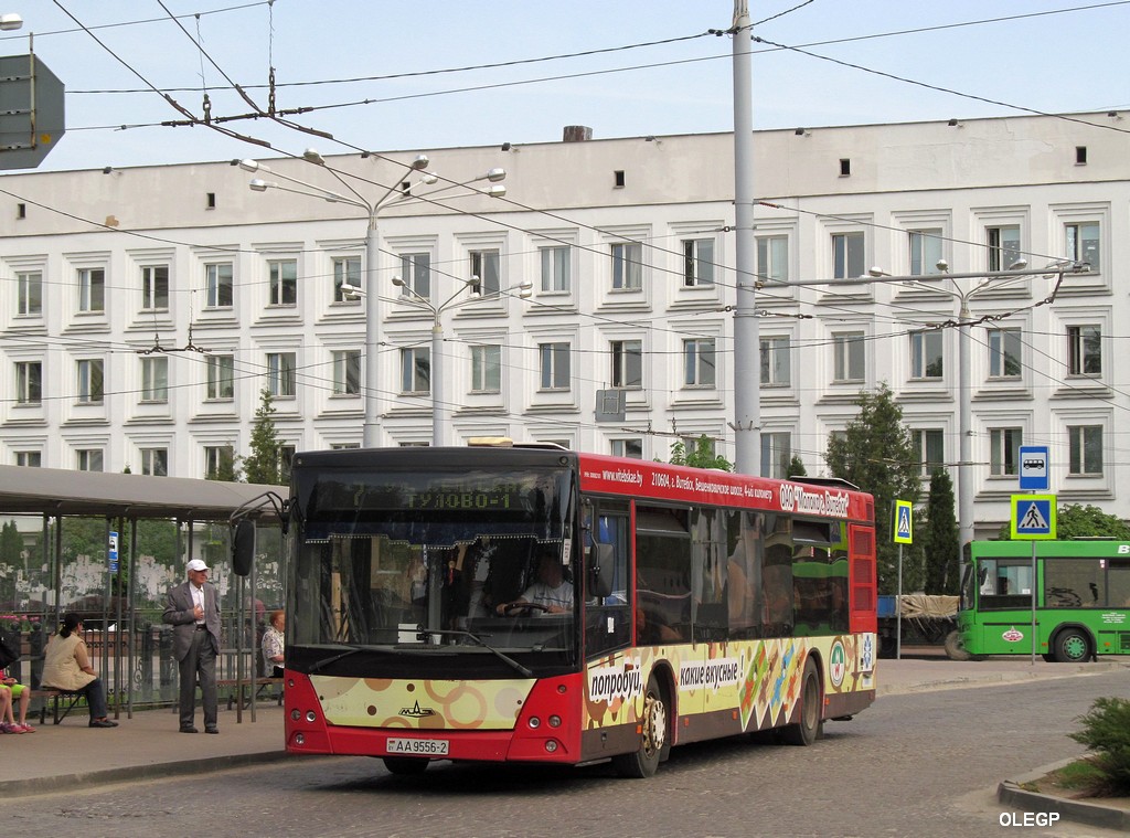 Витебская область, МАЗ-203.067 № 010863