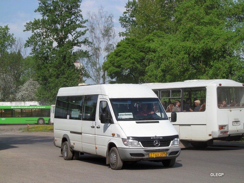 Витебская область, Самотлор-НН-323770 (MB Sprinter 411CDI) № 2 ТАХ 2975