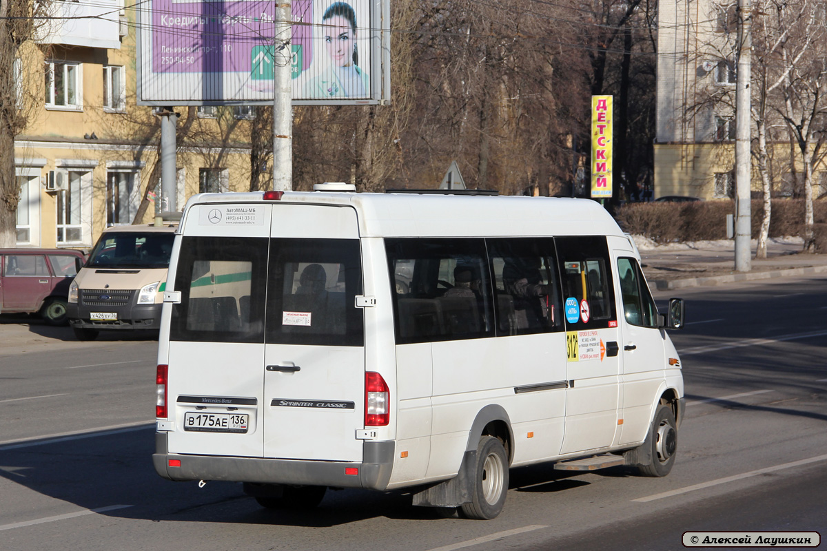 Воронежская область, Луидор-223203 (MB Sprinter Classic) № В 175 АЕ 136