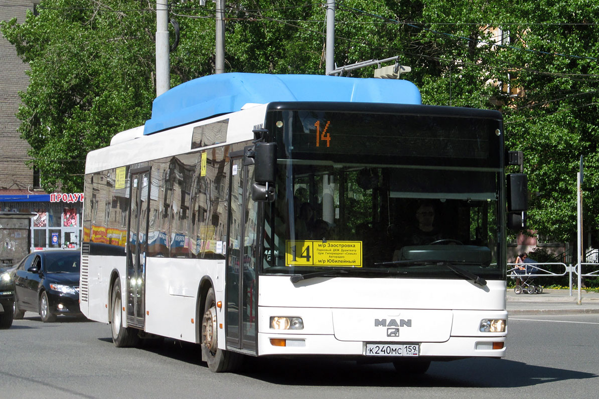 Пермский край, MAN A21 NL243 CNG № К 240 МС 159