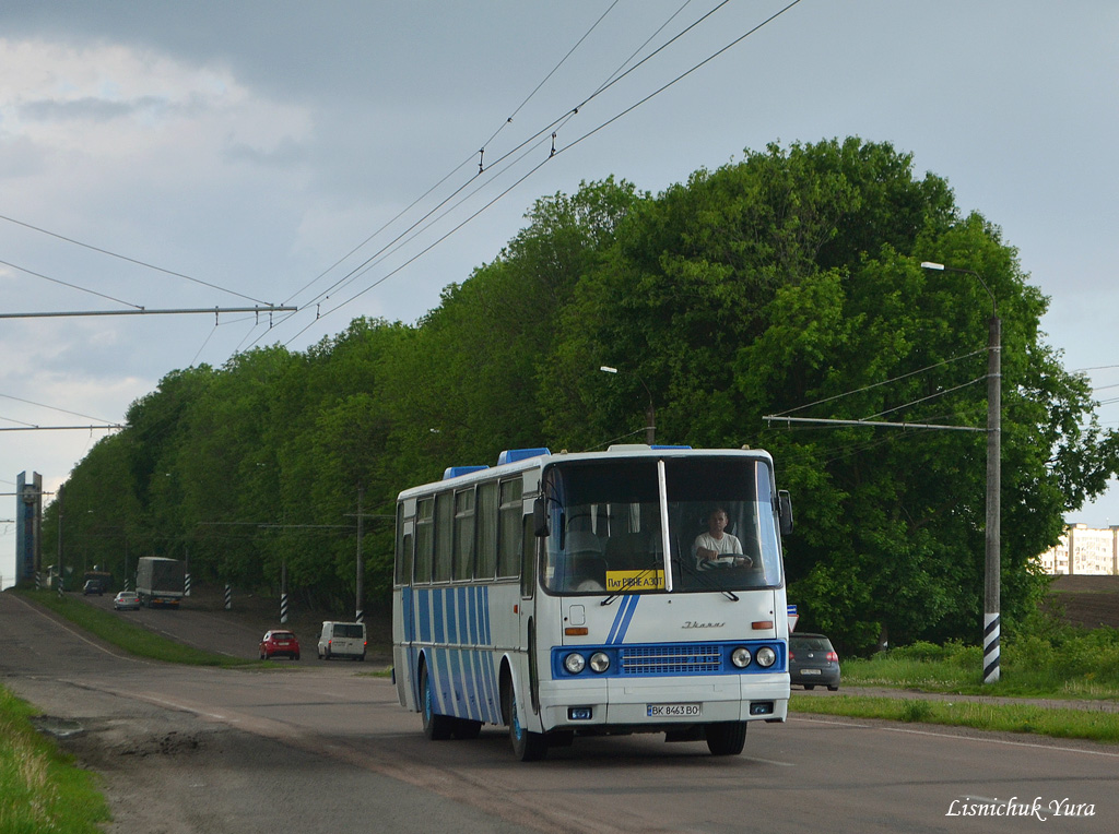 Ровненская область, Ikarus 250.59 № BK 8463 BO