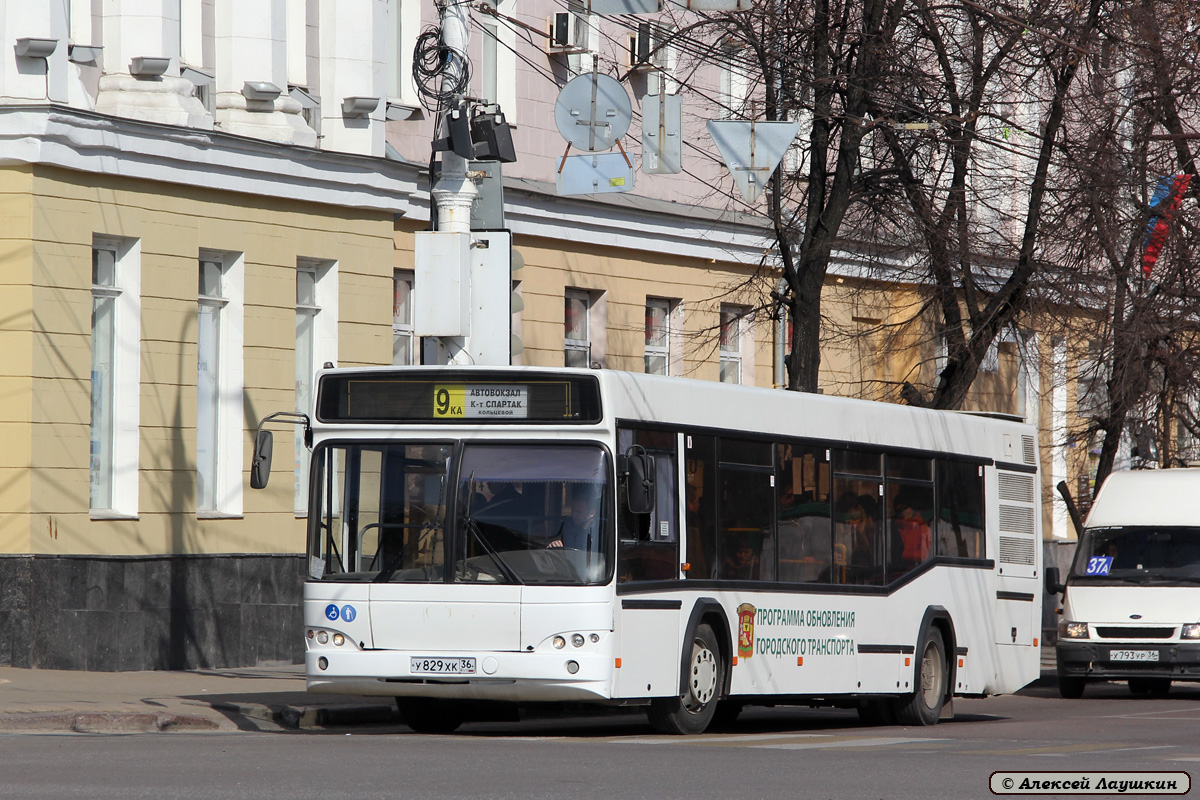 Воронежская область, МАЗ-103.469 № У 829 ХК 36