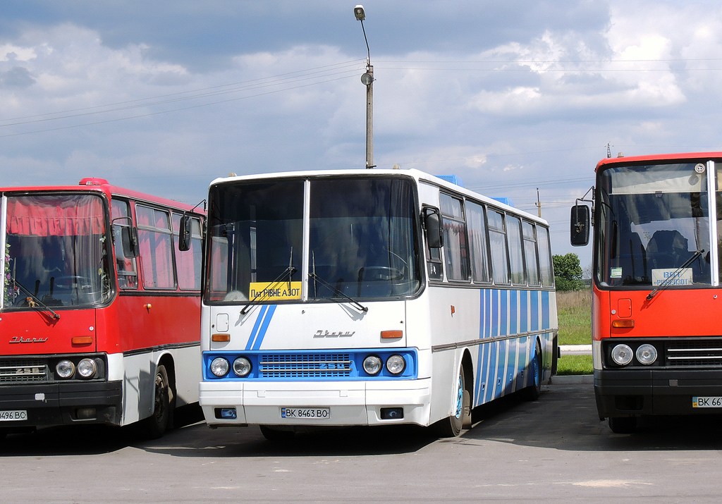 Ровненская область, Ikarus 250.59 № BK 8463 BO