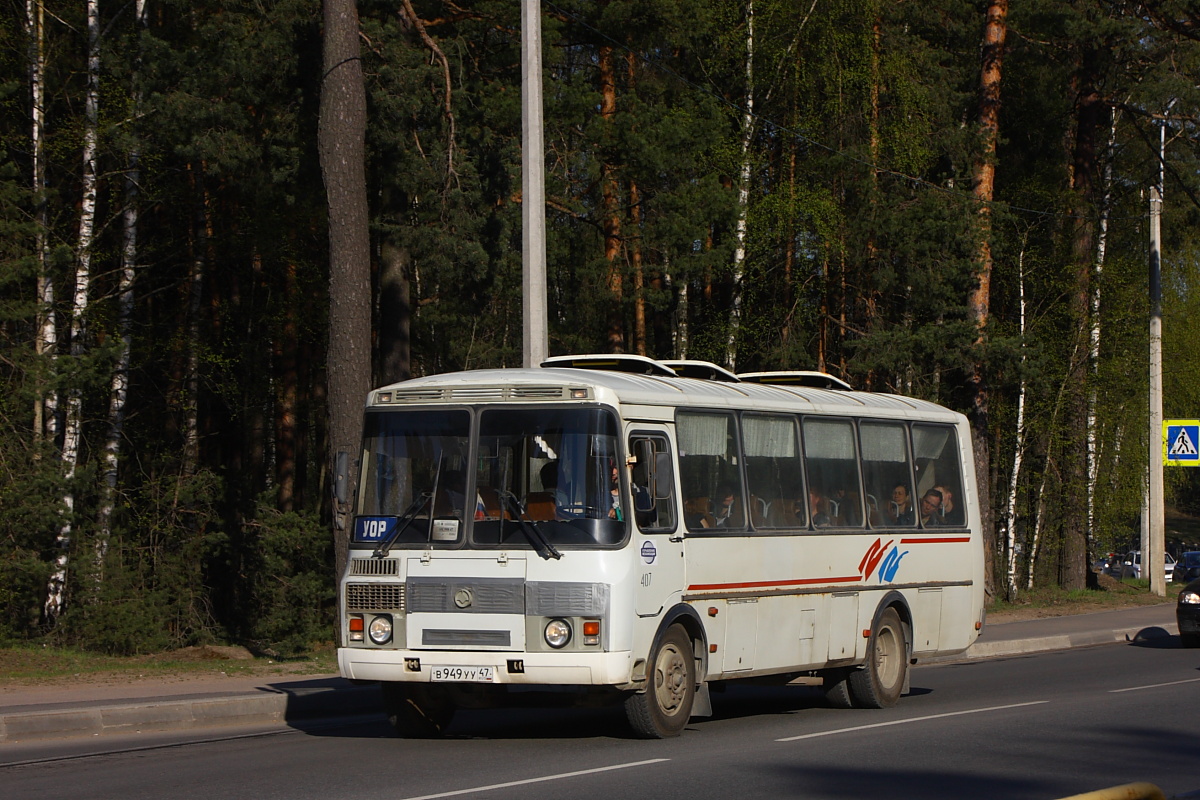 Ленинградская область, ПАЗ-4234 № 407