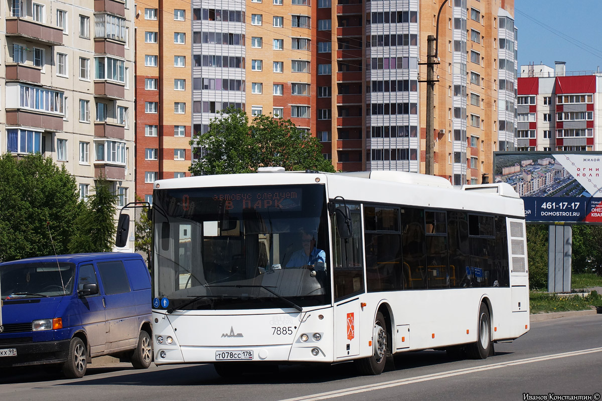 Санкт-Петербург, МАЗ-203.085 № 7885