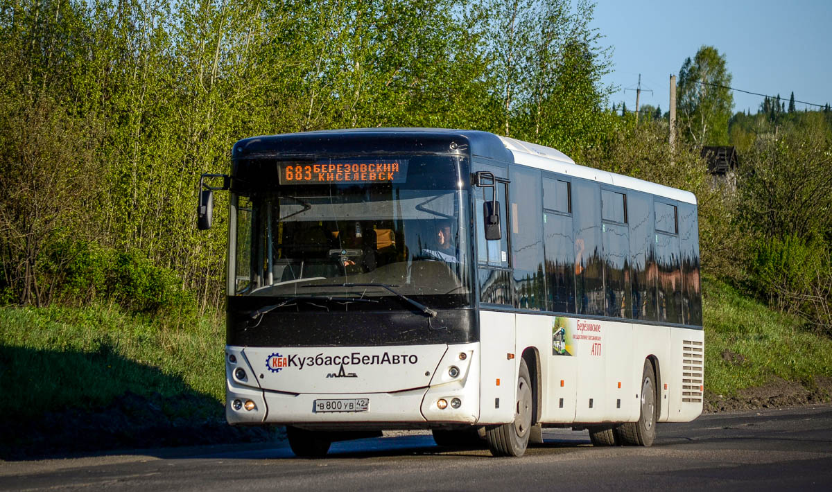 Кемеровская область - Кузбасс, МАЗ-231.062 № 52