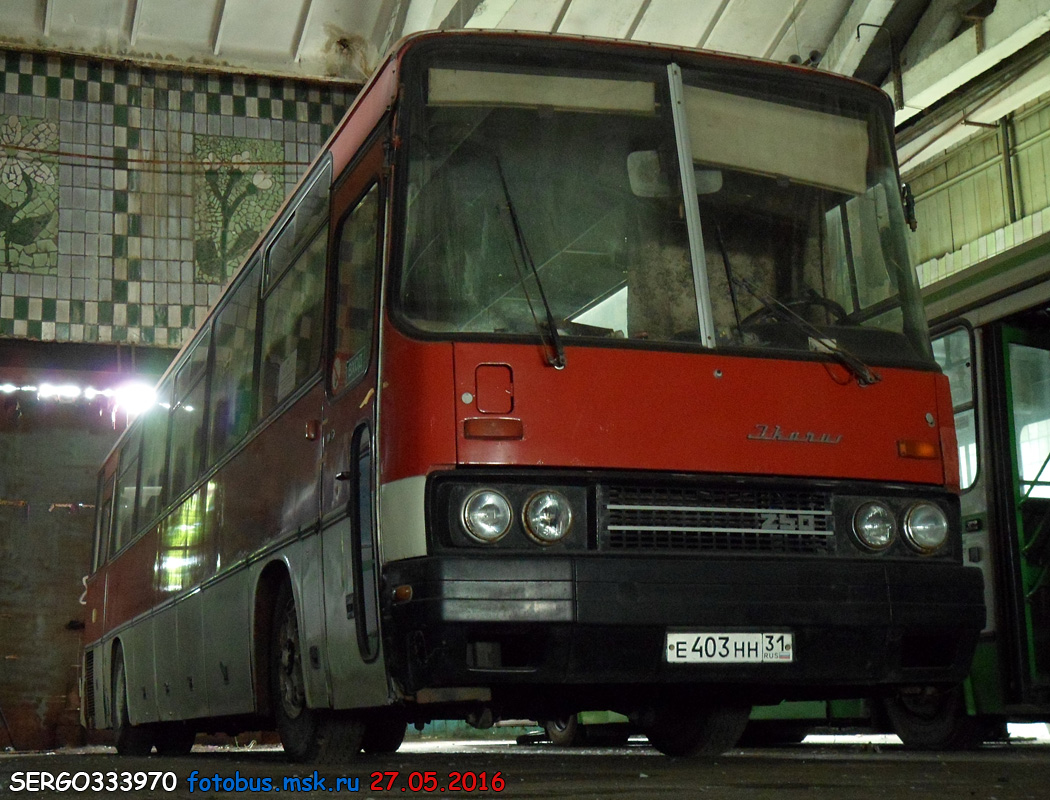 Белгородская область, Ikarus 250.93 № Е 403 НН 31