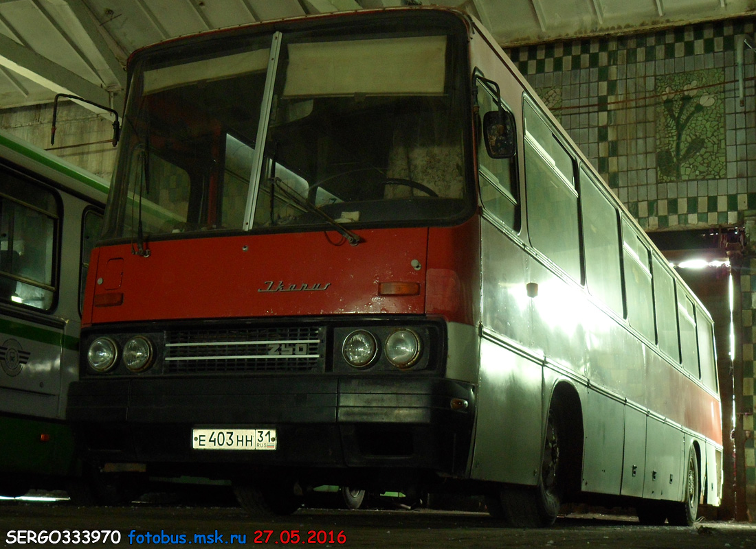 Белгородская область, Ikarus 250.93 № Е 403 НН 31