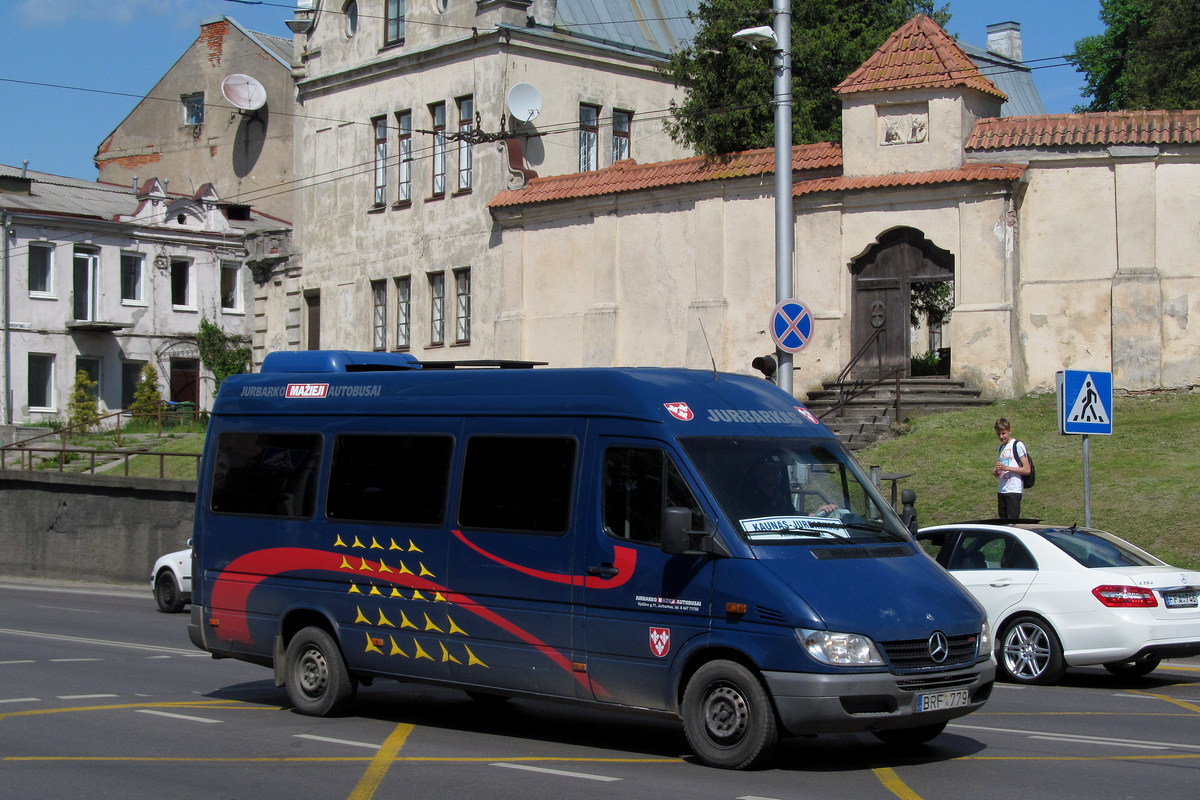 Lithuania, Mercedes-Benz Sprinter W903 313CDI # BRF 779