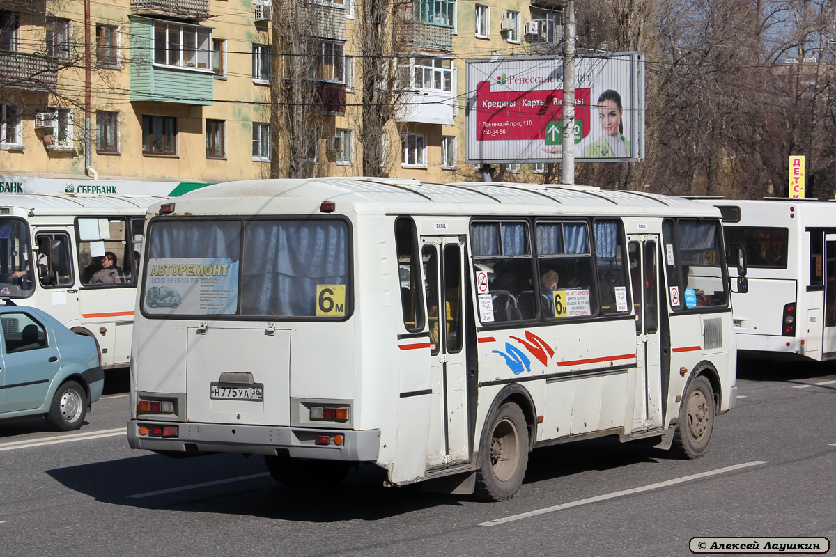 Воронежская область, ПАЗ-4234 № Н 775 УА 36