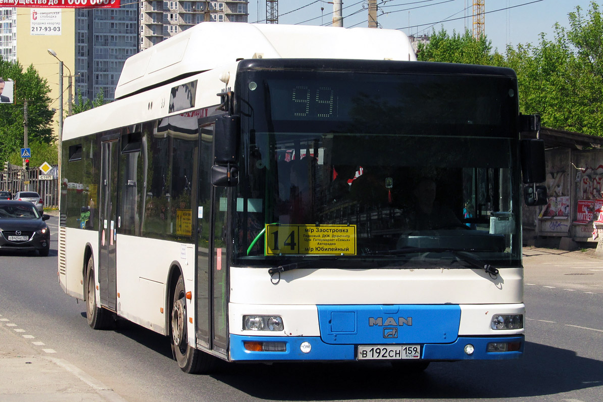 Пермский край, MAN A21 NL313 CNG № В 192 СН 159