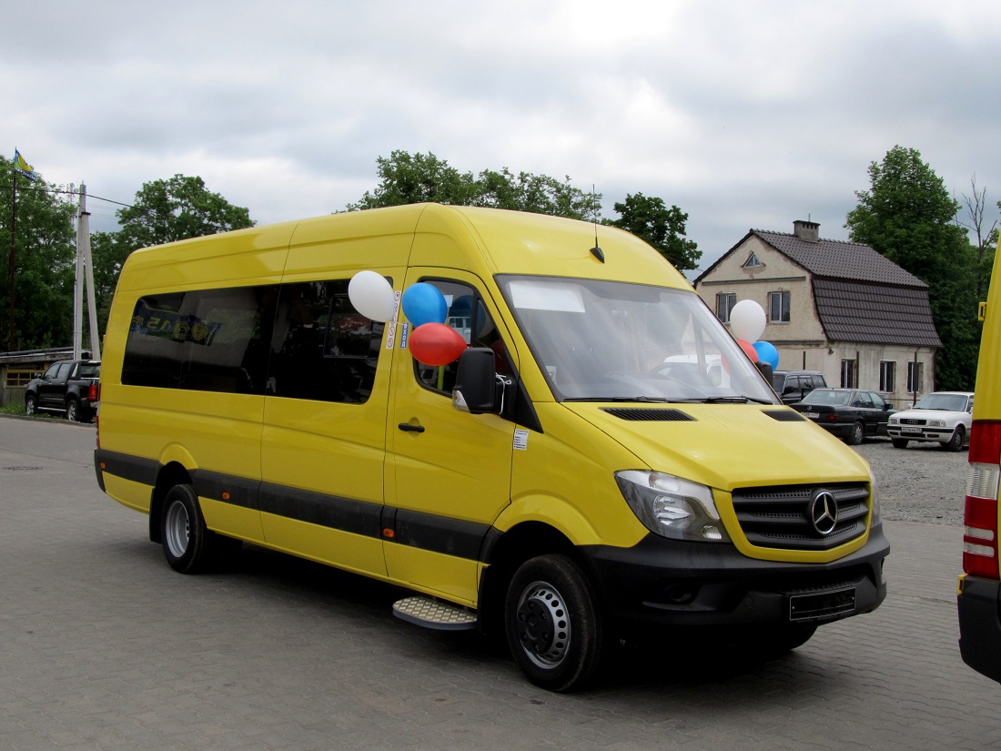 Калининградская область, Луидор-223610 (MB Sprinter) № 087