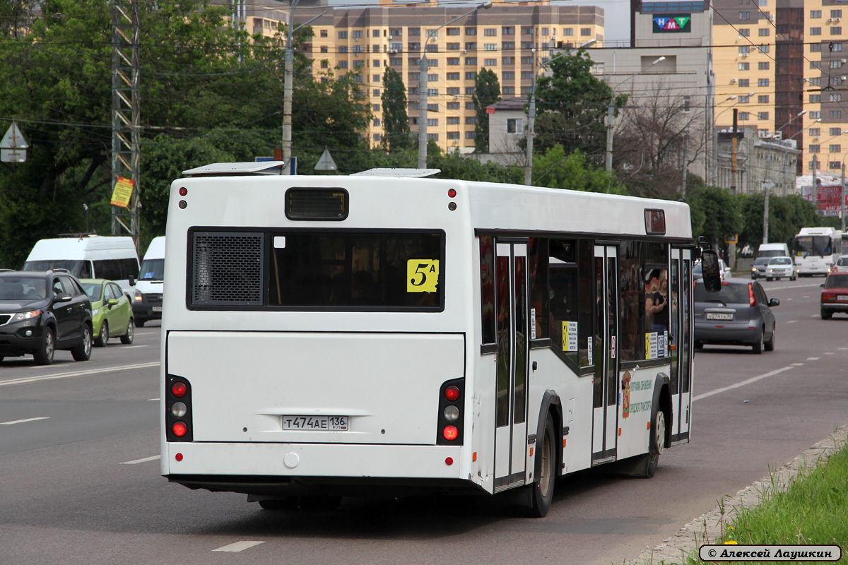 Воронежская область, МАЗ-103.465 № Т 474 АЕ 136