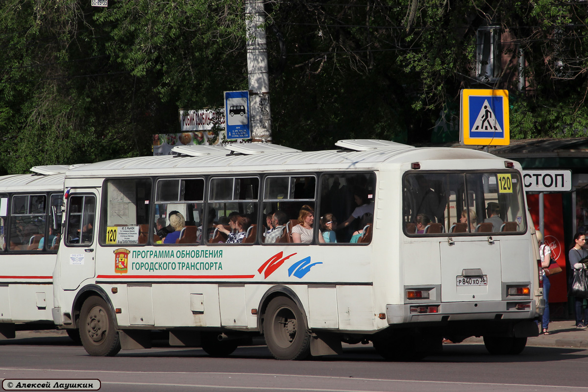 Воронежская область, ПАЗ-4234-05 № Р 840 ХО 36