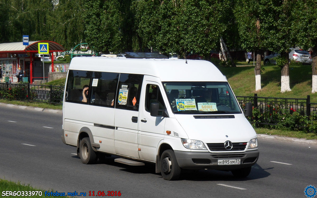 Белгородская область, Луидор-223201 (MB Sprinter Classic) № Н 895 ХМ 31