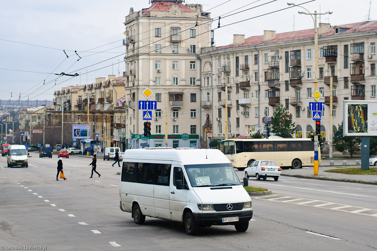 Запорожская область, Mercedes-Benz Sprinter W903 312D № AP 6255 CX