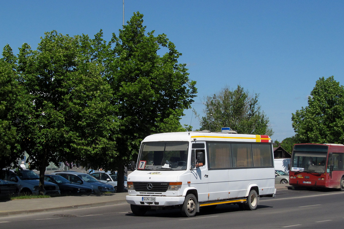 Литва, Mercedes-Benz Vario O815 № 55