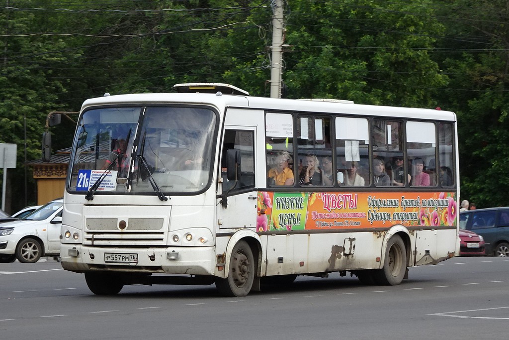 Ярославская область, ПАЗ-320412-03 № 3142