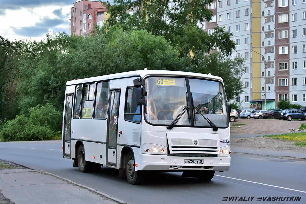 Архангельская область, ПАЗ-320302-08 № М 439 СТ 29