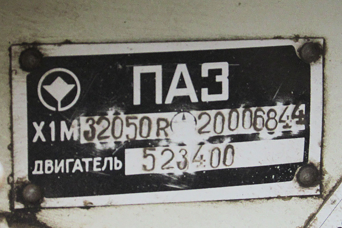 Пермский край, ПАЗ-3205-110 № Х 131 УТ 59