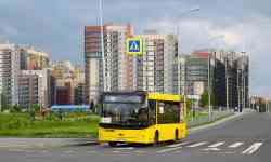 393 КБ