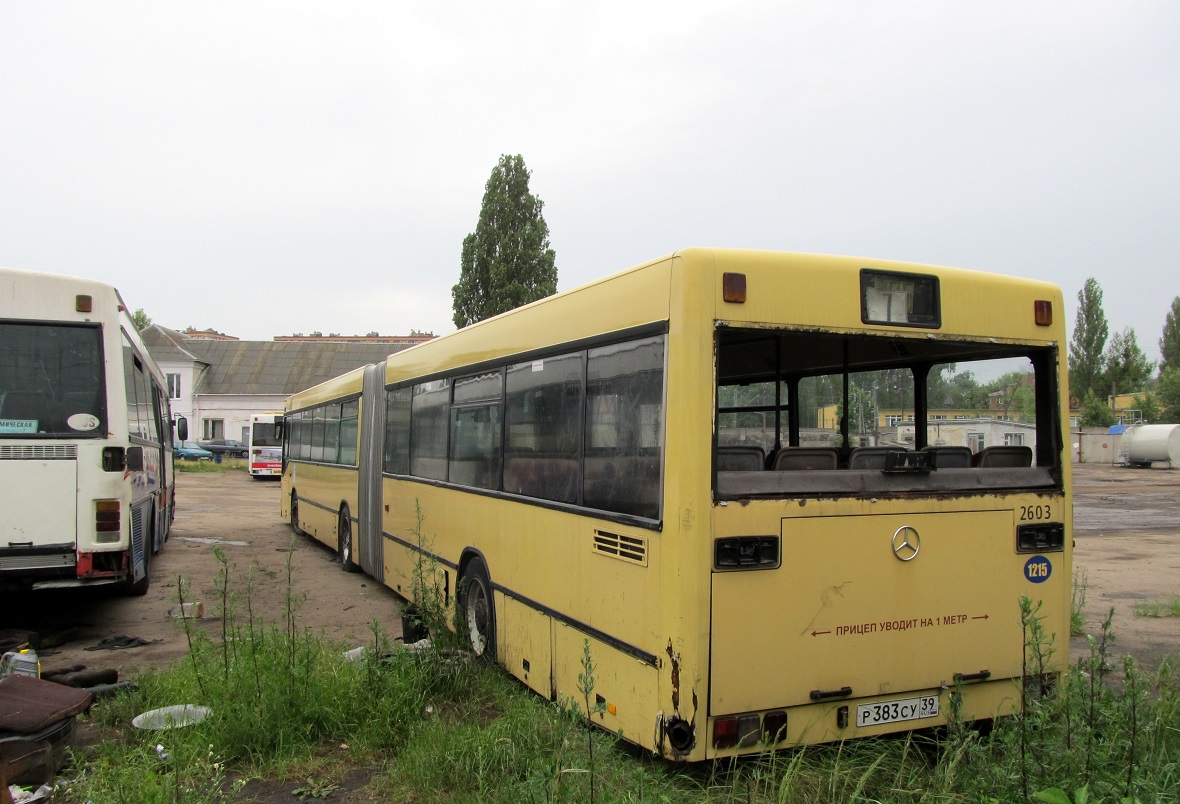 Kaliningrad region, Mercedes-Benz O405GN # 1215