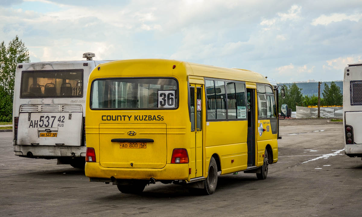 Кемеровская область - Кузбасс, Hyundai County Kuzbass № 188