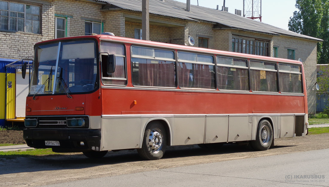 Волгоградская область, Ikarus 256.74 № А 591 АС 134