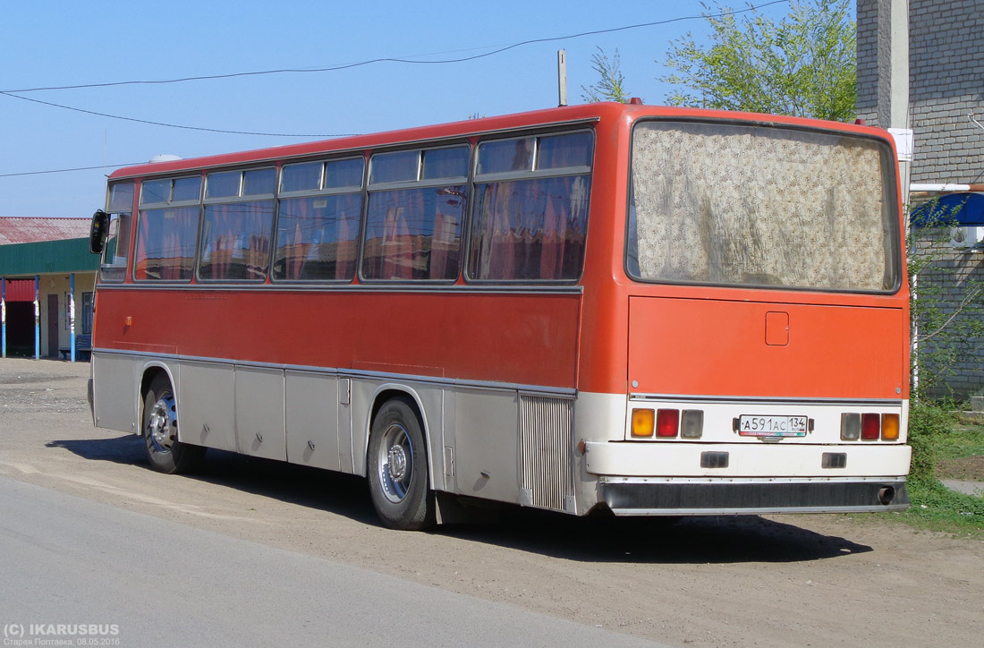 Волгоградская область, Ikarus 256.74 № А 591 АС 134