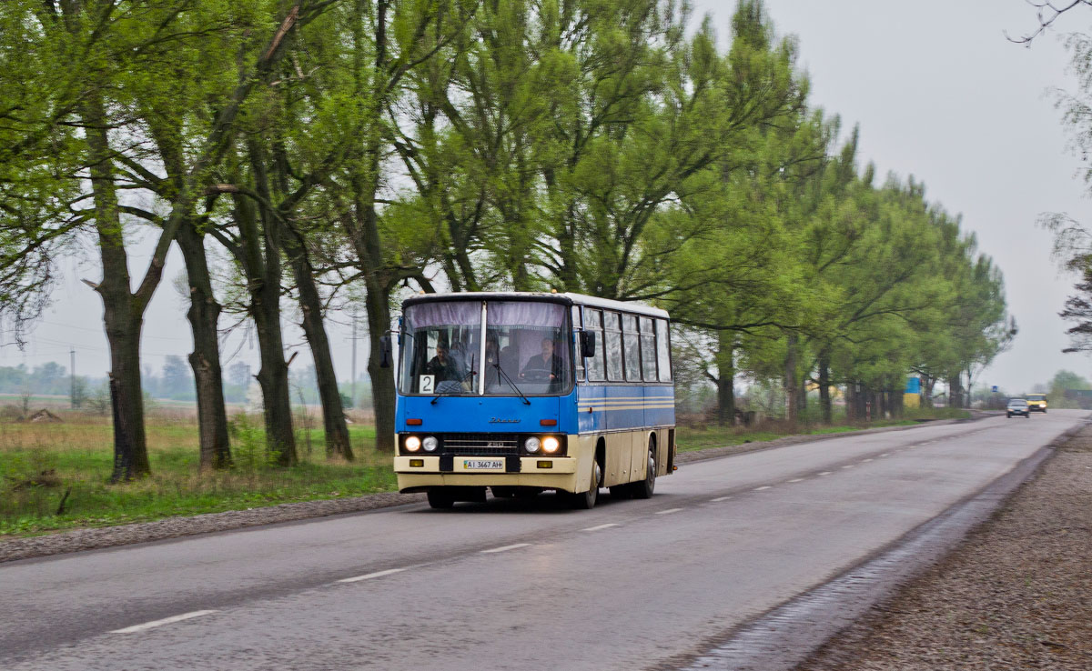 Львовская область, Ikarus 256.51 № AI 3667 AH