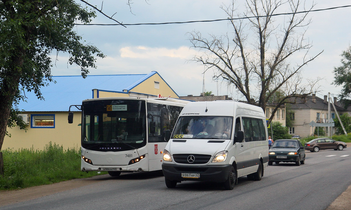 Ленинградская область, Луидор-22360C (MB Sprinter) № Х 067 НР 47