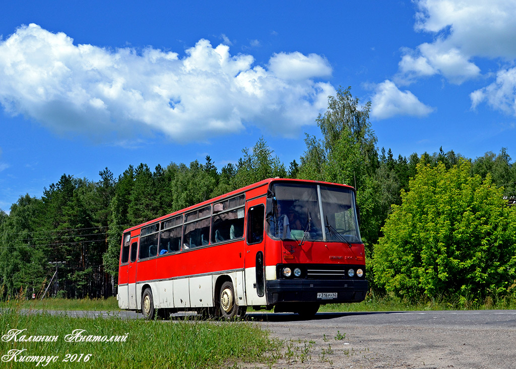 Рязанская область, Ikarus 256.74 № У 316 РУ 62