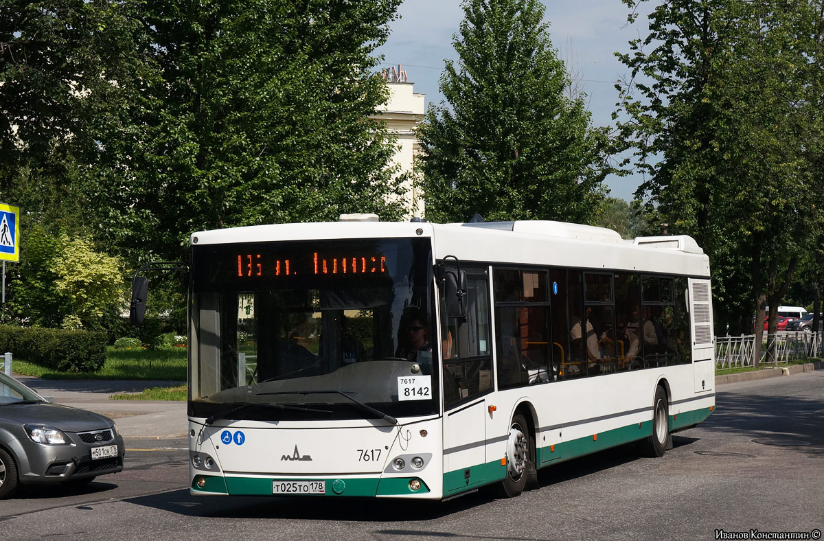 Санкт-Петербург, МАЗ-203.085 № 8142