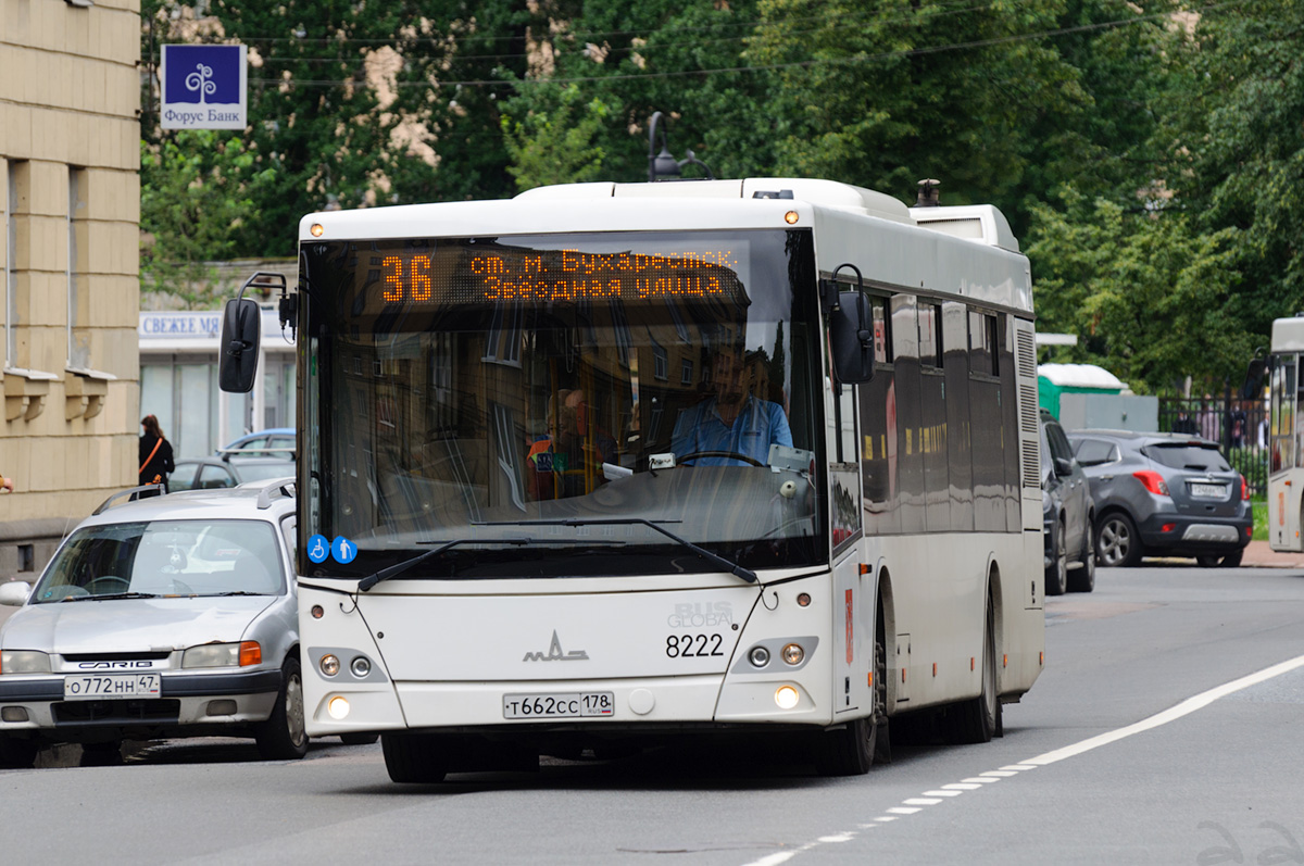 Санкт-Петербург, МАЗ-203.085 № 8222