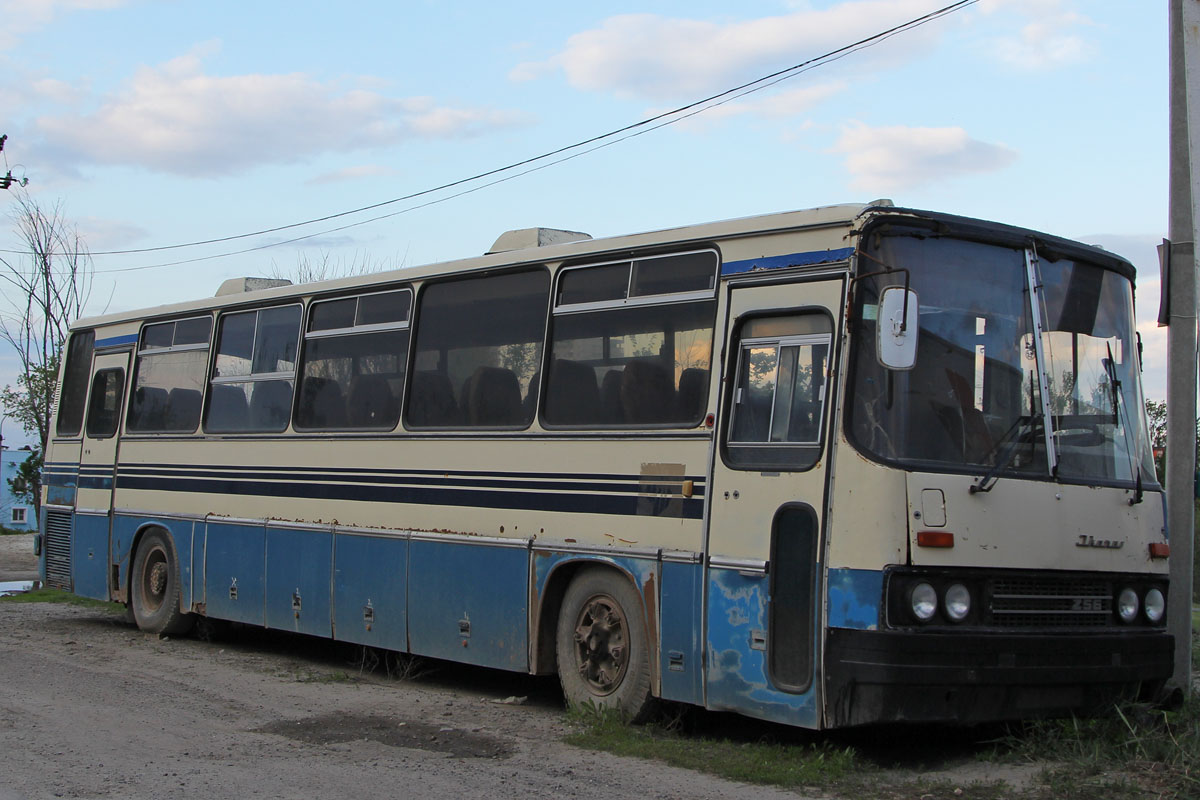 Волгоградская область, Ikarus 250.95 № 4186