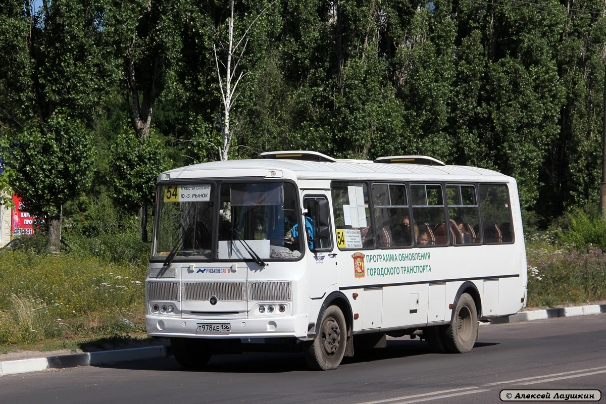 Воронежская область, ПАЗ-4234 № Т 978 АЕ 136